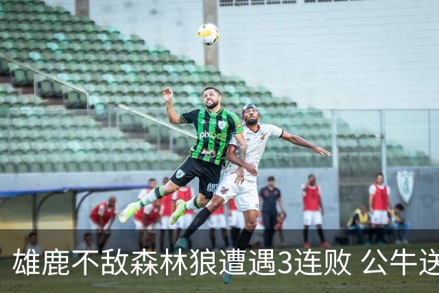 雄鹿不敌森林狼遭遇3连败 公牛送灰熊7连败